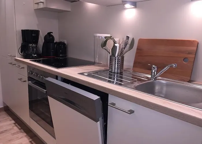 Mischa 因斯布鲁克